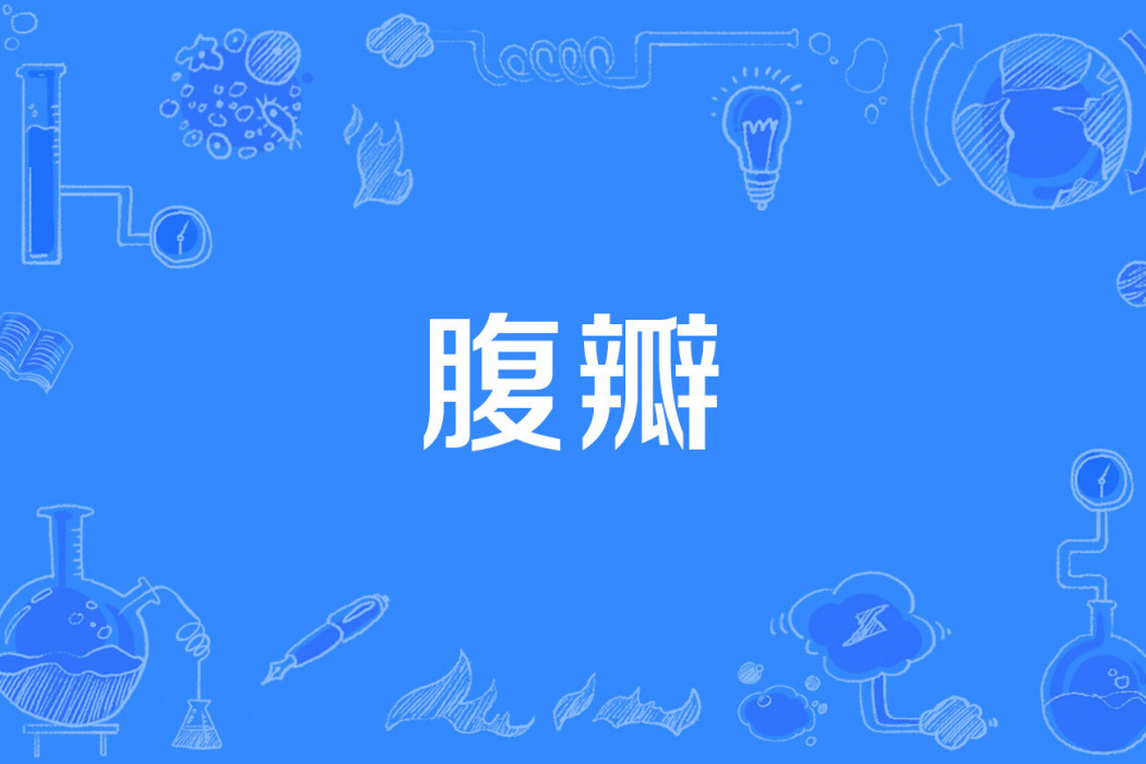 腹瓣 腹瓣