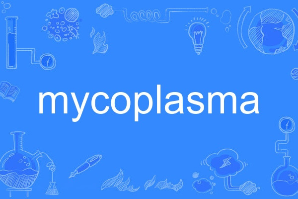 mycoplasma mycoplasma