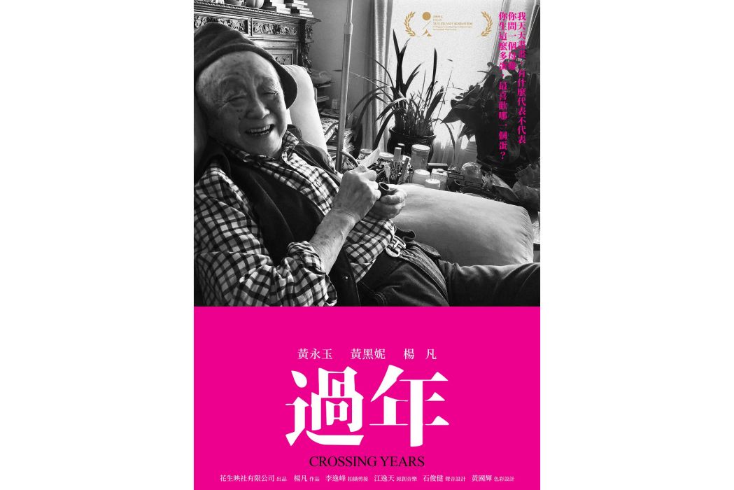 過年(楊凡執導的紀錄片) 過年(楊凡執導的紀錄片)