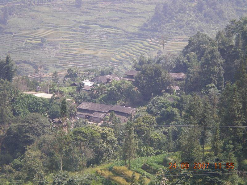 棕樹村(雲南省紅河州河口瑤族自治縣橋頭鄉棕樹村) 棕樹村(雲南省紅河州河口瑤族自治縣橋頭鄉棕樹村)