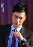 一樹桃花開(2016年王瑞執導電視劇)