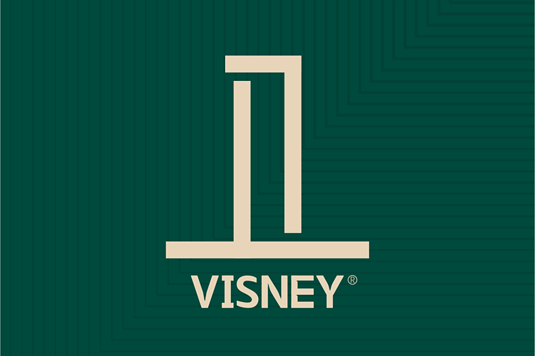 visney衛詩理 visney衛詩理