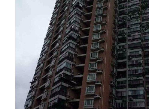 真南路895弄 真南路895弄