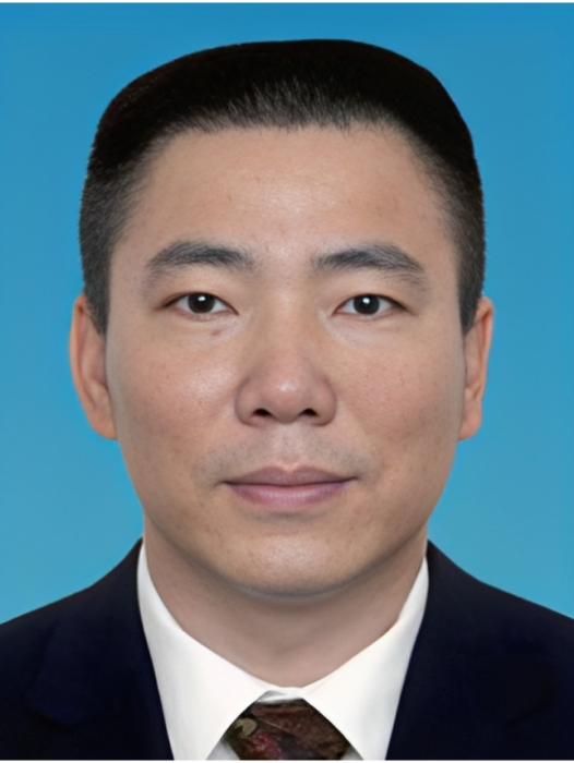 孫雷(海南省三亞市人民政府黨組成員、副市長(掛職)) 孫雷(海南省三亞市人民政府黨組成員、副市長(掛職))