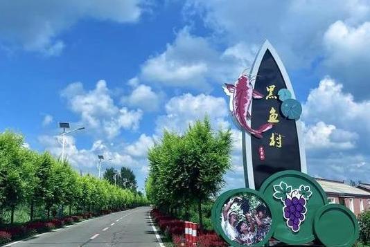 黑魚村(吉林省長春市雙陽區平湖街道辦事處下轄村) 黑魚村(吉林省長春市雙陽區平湖街道辦事處下轄村)
