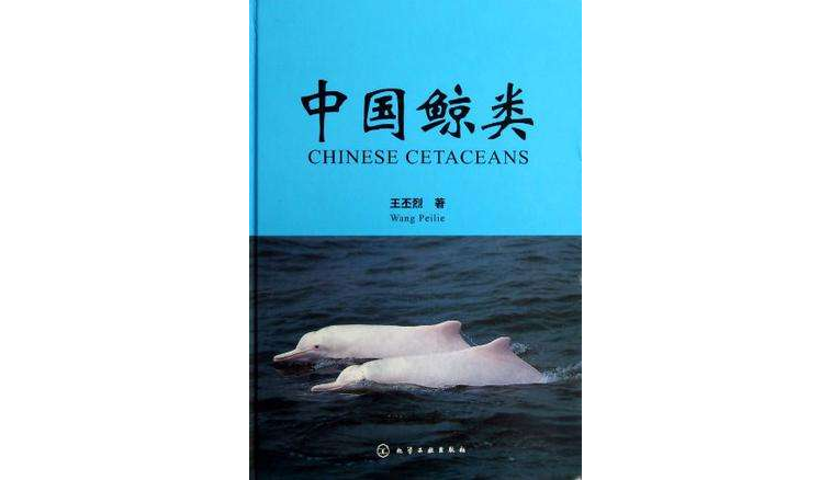 中國鯨類