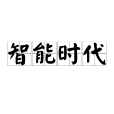 智慧型時代(社會科學概念)