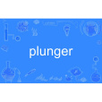 plunger plunger