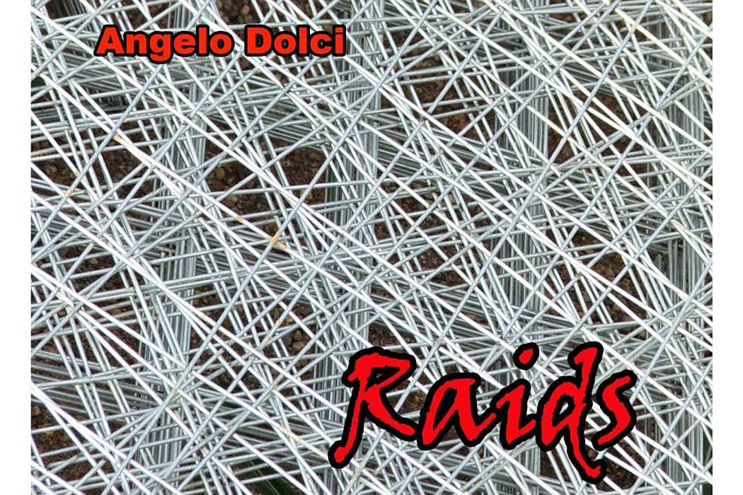 Raids Raids
