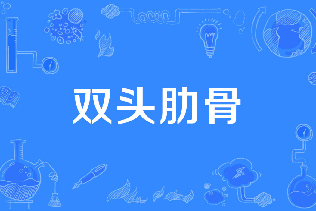 雙頭肋骨 雙頭肋骨