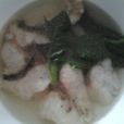 錘錘魚 錘錘魚