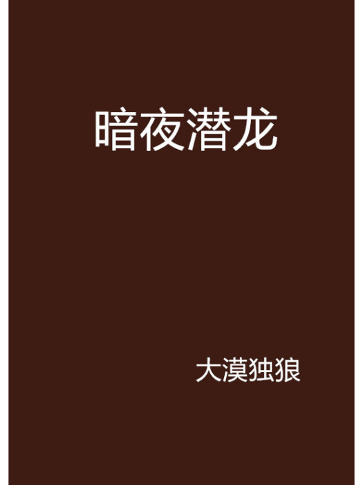 暗夜潛龍 暗夜潛龍