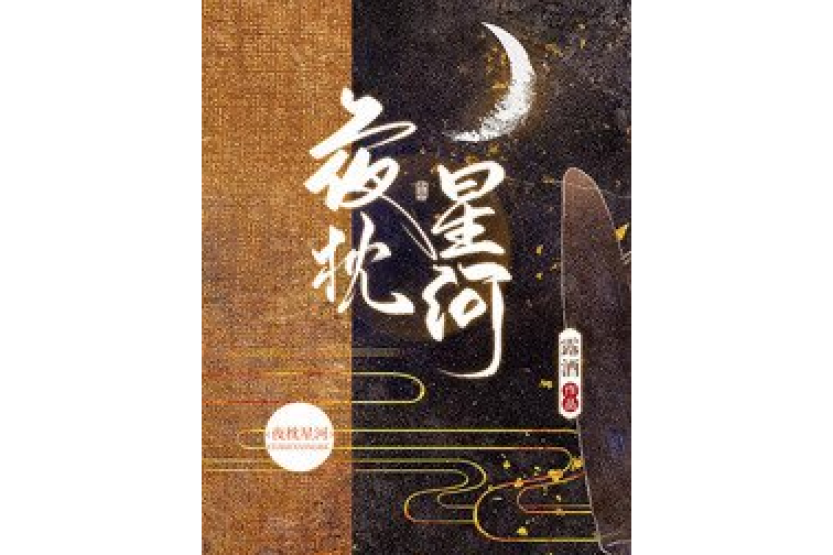 夜枕星河 夜枕星河