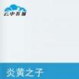炎黃之子 炎黃之子