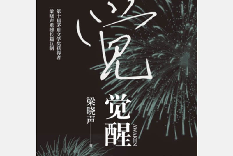 覺醒(梁曉聲長篇小說) 覺醒(梁曉聲長篇小說)