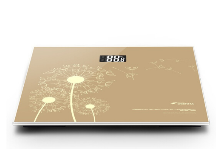 德爾瑪EB04 德爾瑪EB04