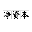 淨資本 淨資本