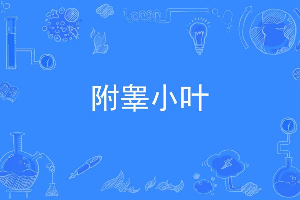 附睪小葉