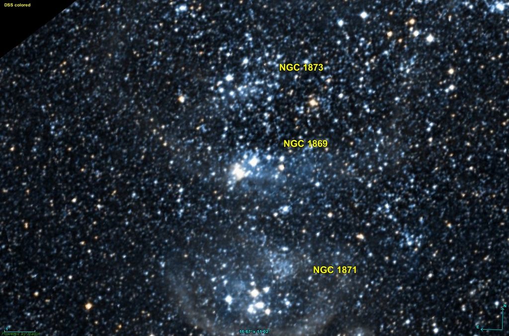 NGC 1869
