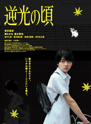 葵若菜 葵若菜