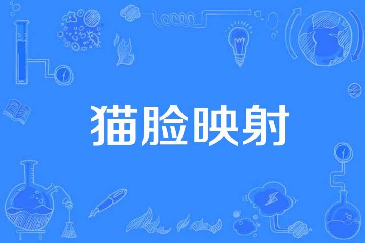 貓臉映射 貓臉映射