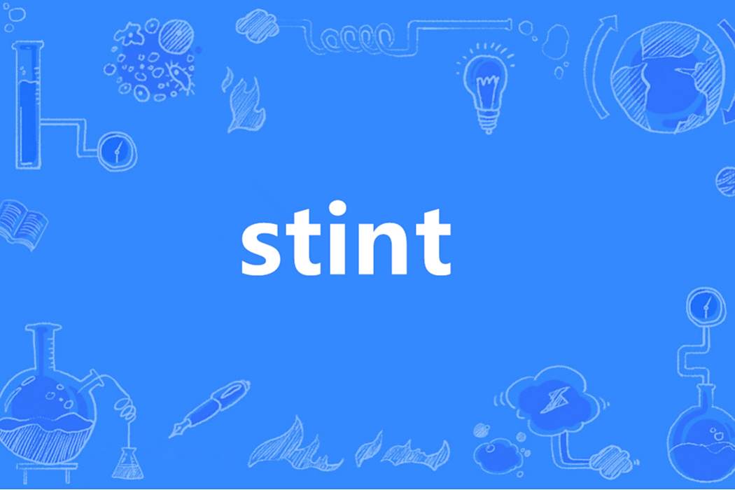 stint(英語單詞) stint(英語單詞)
