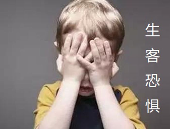 生客恐懼(陌生人恐懼) 生客恐懼(陌生人恐懼)