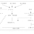 放射性碳 放射性碳