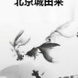 北京城由來 北京城由來