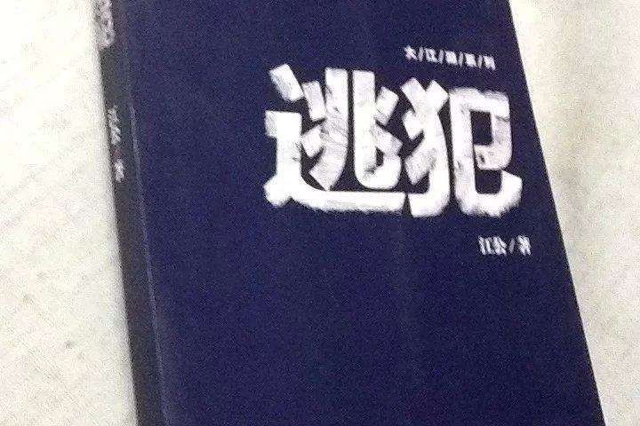 逃犯(2015年新世界出版社出版的圖書) 逃犯(2015年新世界出版社出版的圖書)