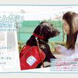 助殘犬武藏 助殘犬武藏