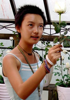 好奇害死貓(電影)