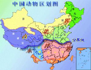 古北界在中國的分布