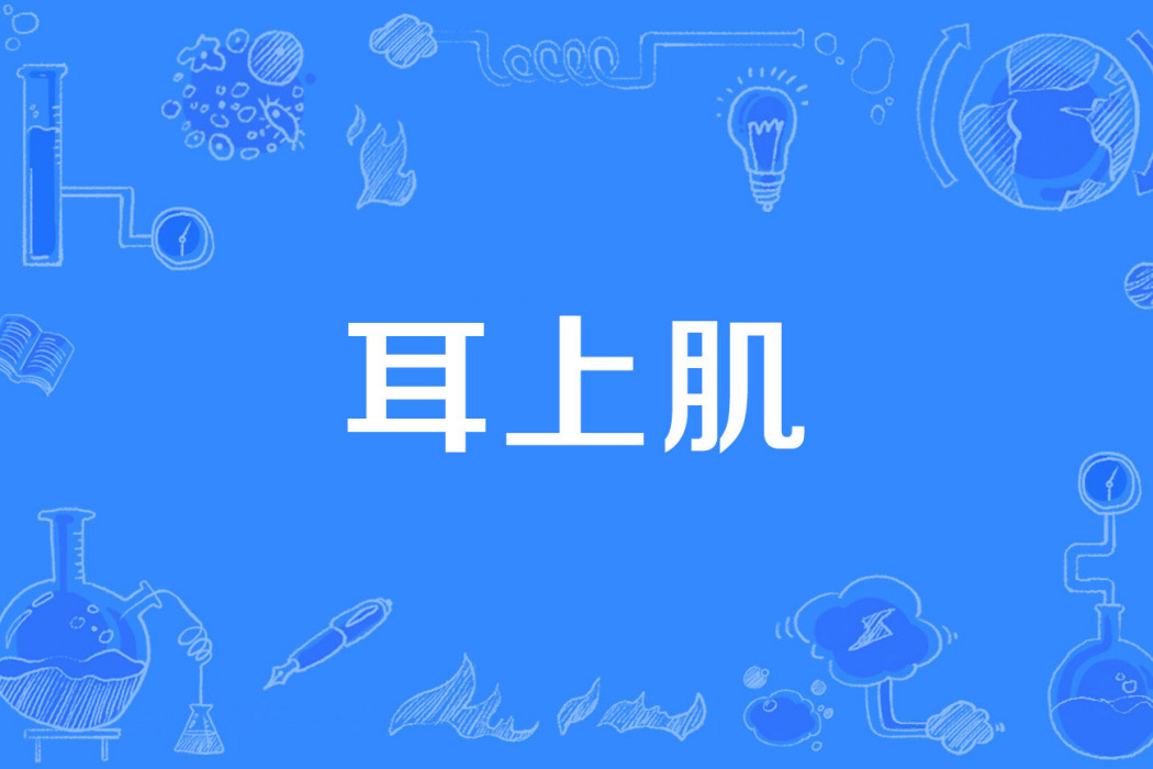 耳上肌