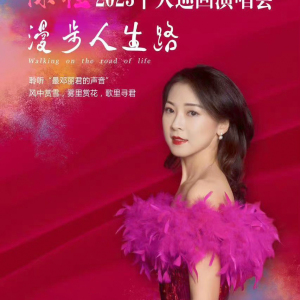 陳佳(中國內地女歌手)