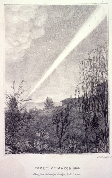 畫家筆下的1843年大彗星，地點為塔斯曼尼亞