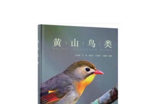 黃山鳥類 黃山鳥類