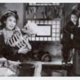 金葉菊(1965年黃岱執導電影) 金葉菊(1965年黃岱執導電影)