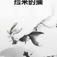 撿來的貓 撿來的貓
