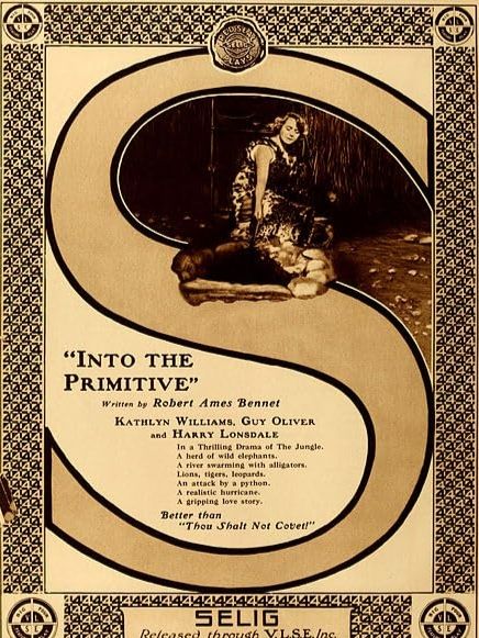 Into the Primitive Into the Primitive