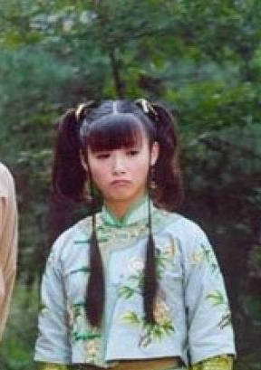 中華小當家(小當家（2005年蕭正楠、何潤東主演電視劇）)