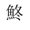 鮗 鮗