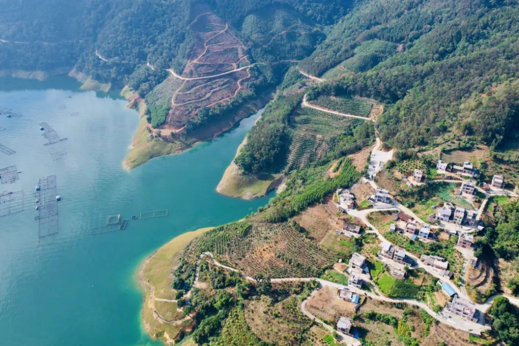那根村 那根村