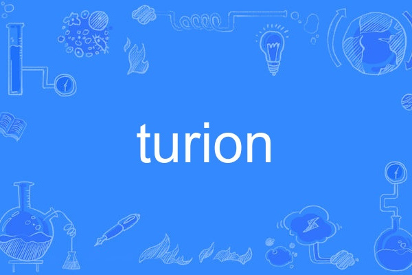 turion turion