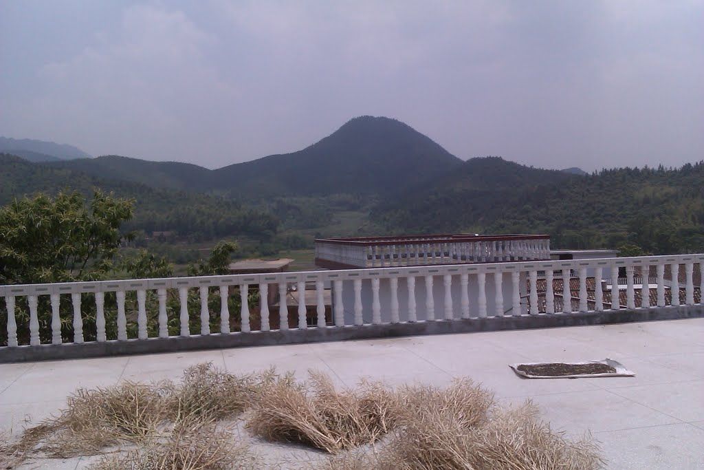 樓嶺村 樓嶺村