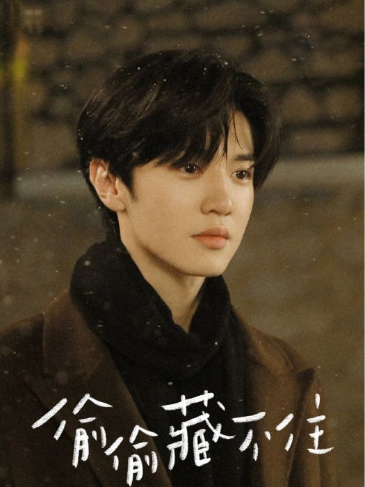 段嘉許(當代都市劇《偷偷藏不住》中的男主角)