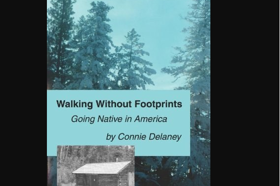 Walking without Footprints Walking without Footprints