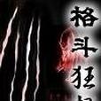格鬥狂想 格鬥狂想