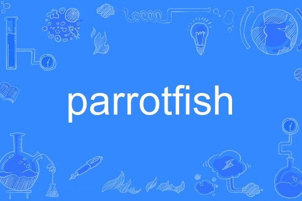parrotfish parrotfish