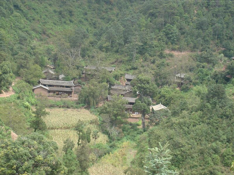 殺堯咪村(雲南元謀縣羊街鎮下轄村) 殺堯咪村(雲南元謀縣羊街鎮下轄村)